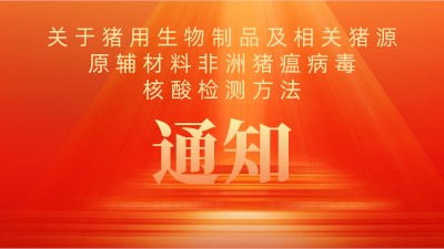 猪用生物制品及相关猪源原辅材料中 非洲猪瘟病毒核酸检测方法 