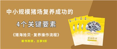 猪场场长经验分享：中小规模猪场成功复养的4个关键要素