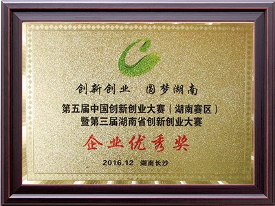 第五届中国创新创业大赛（湖南赛区）企业优秀奖