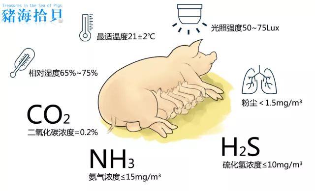 【哼哼课堂】产房冬冷夏热?学完这节课就不怕了